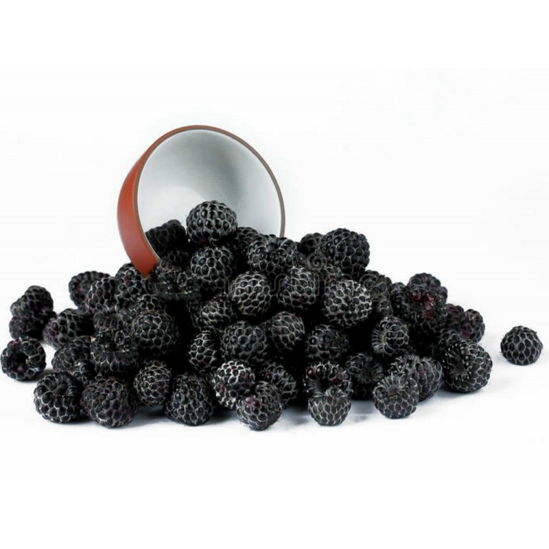 Семена черной малины (Rubus occidentalis) - Цена: €2.25