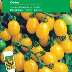 Sementes de tomate Corina