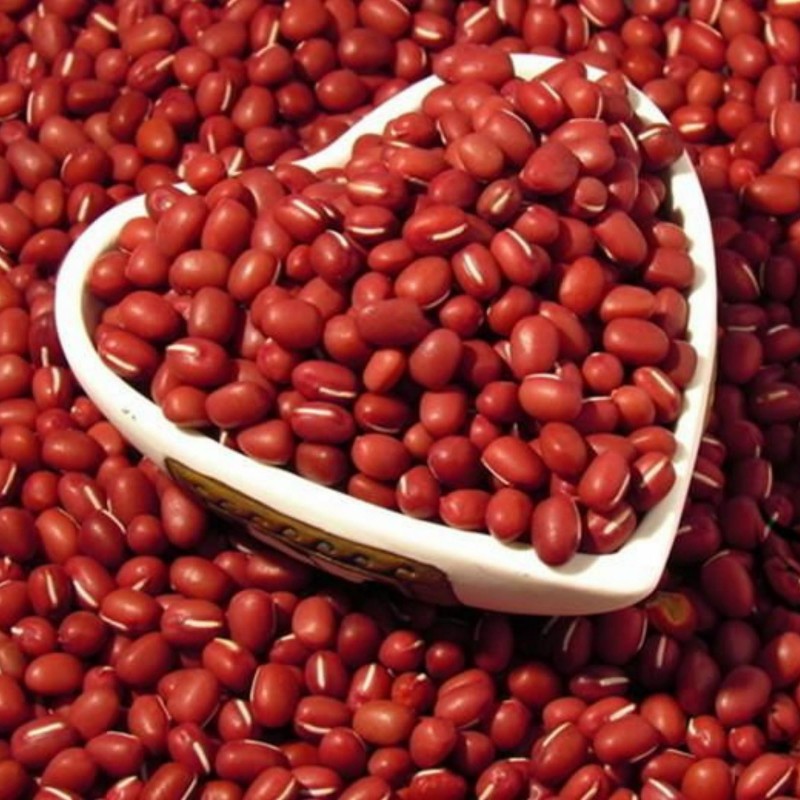 لوبياء مقرنة بذور (Vigna angularis) | Price: 1.95 € 🌳🌼🌸🌿🌱🍉